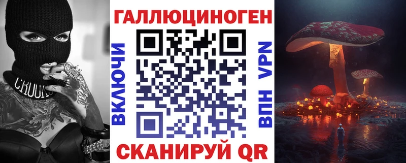 МЕГА ссылки  Гусев  Псилоцибиновые грибы Psilocybe 