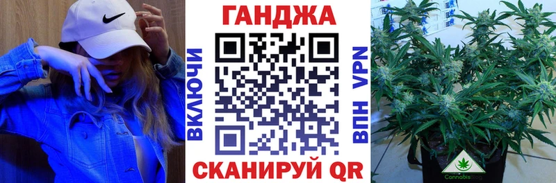 Конопля конопля  Гусев 